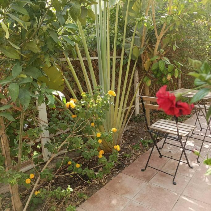 Eilat Stone Terrace-אילת סטון טראס Apartment Bagian luar foto